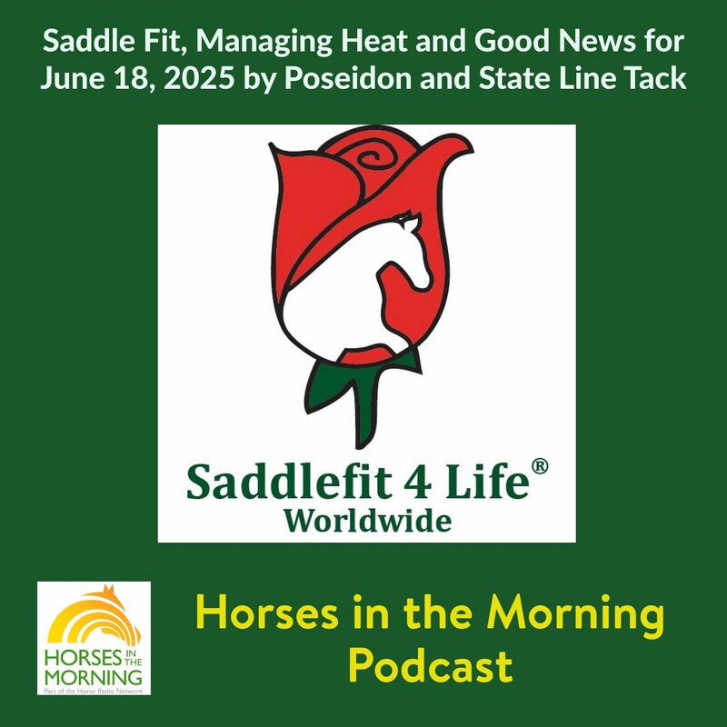 Artwork for podcast Horses in the Morning