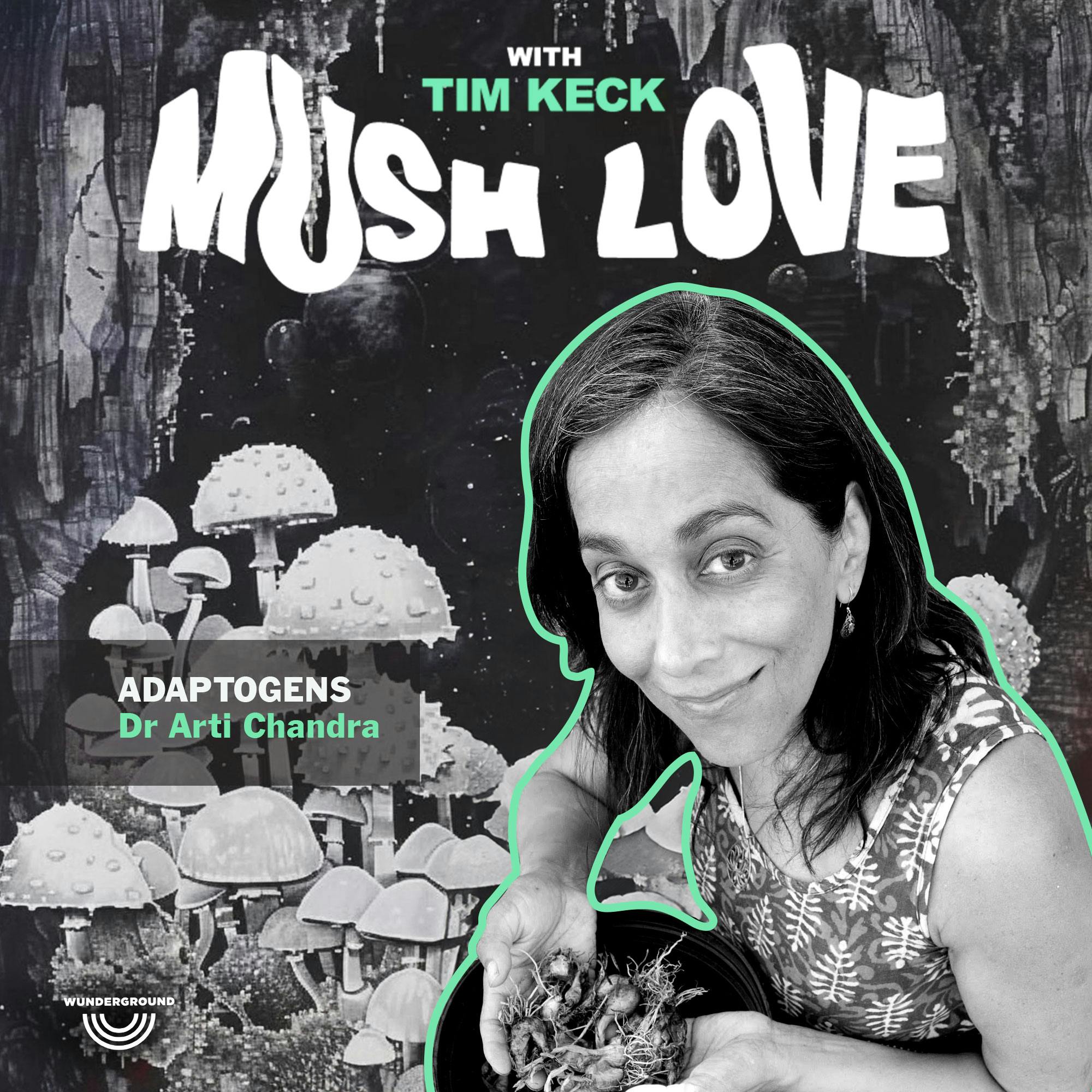 Adaptogens with Dr. Arti Chandra