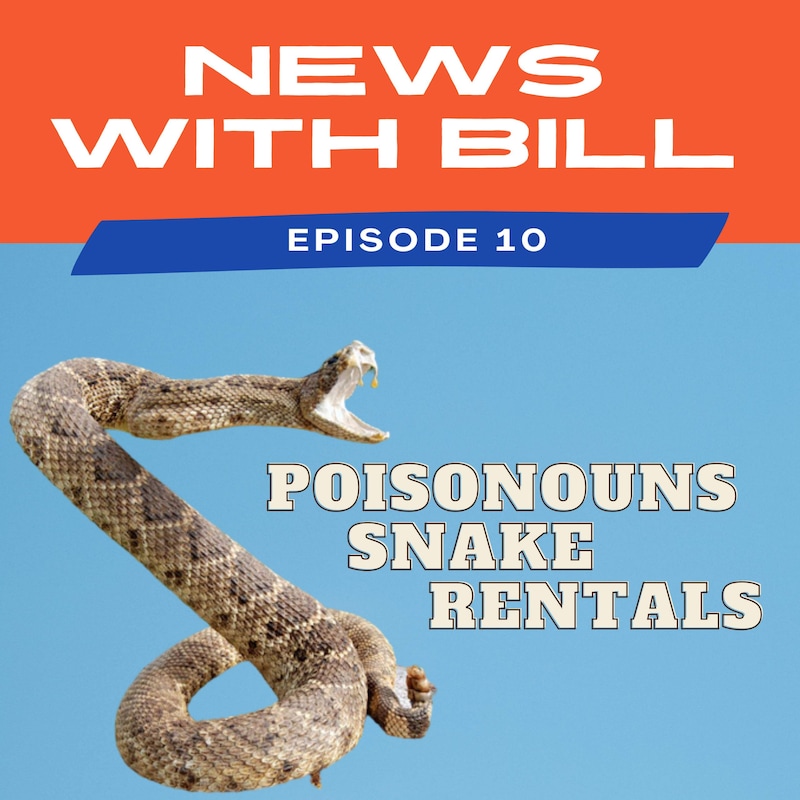 Artwork for podcast News with Bill