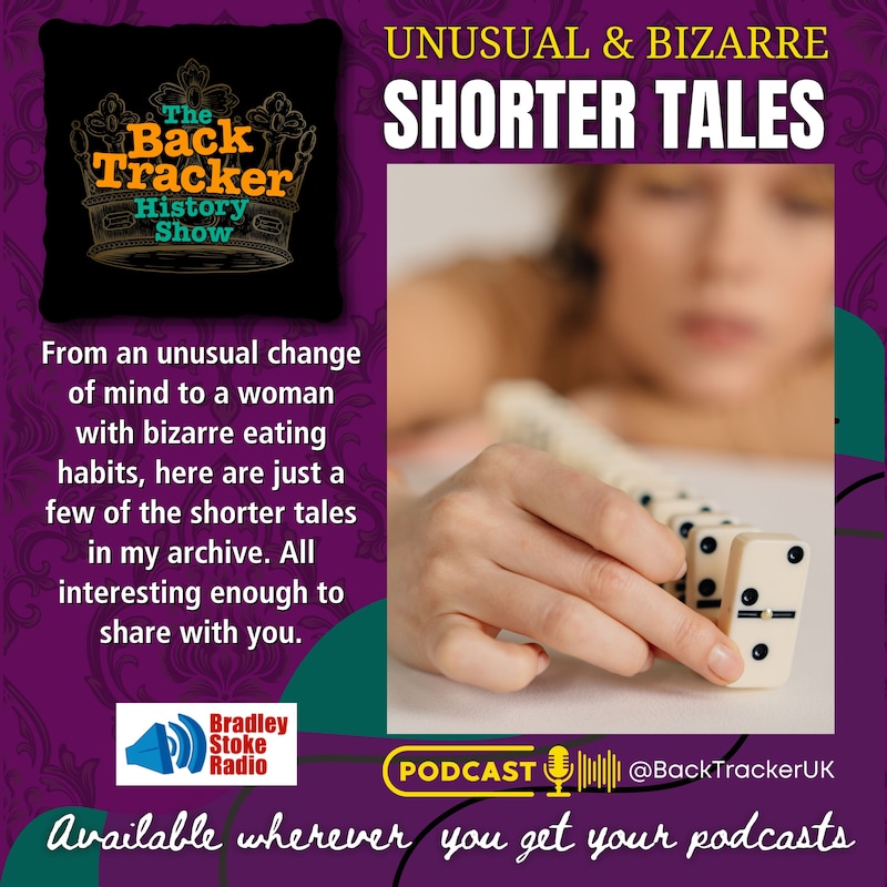 Artwork for podcast The BackTracker History Show