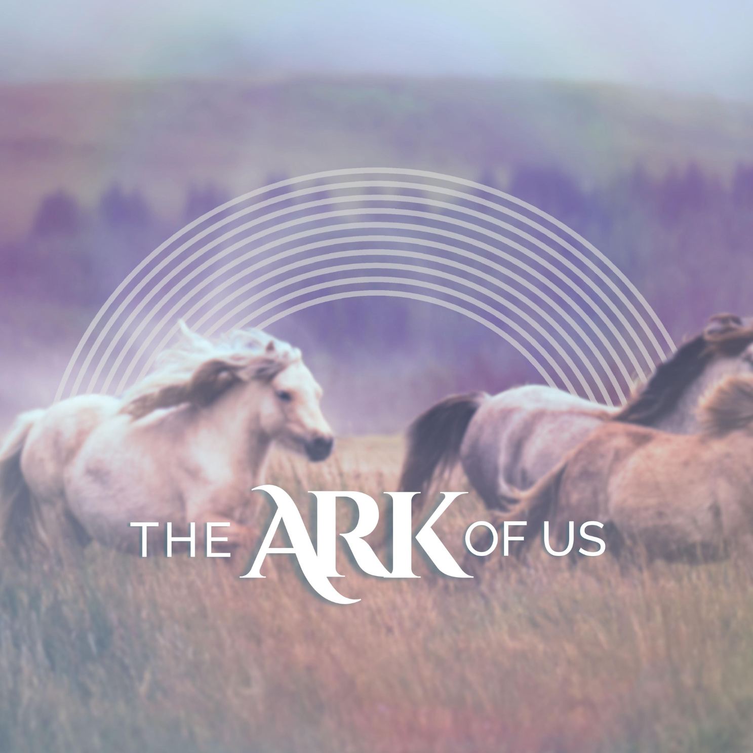 The Ark of Us
