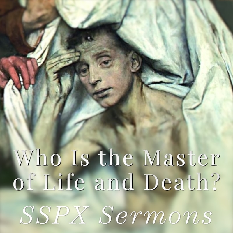 Artwork for podcast SSPX Sermons