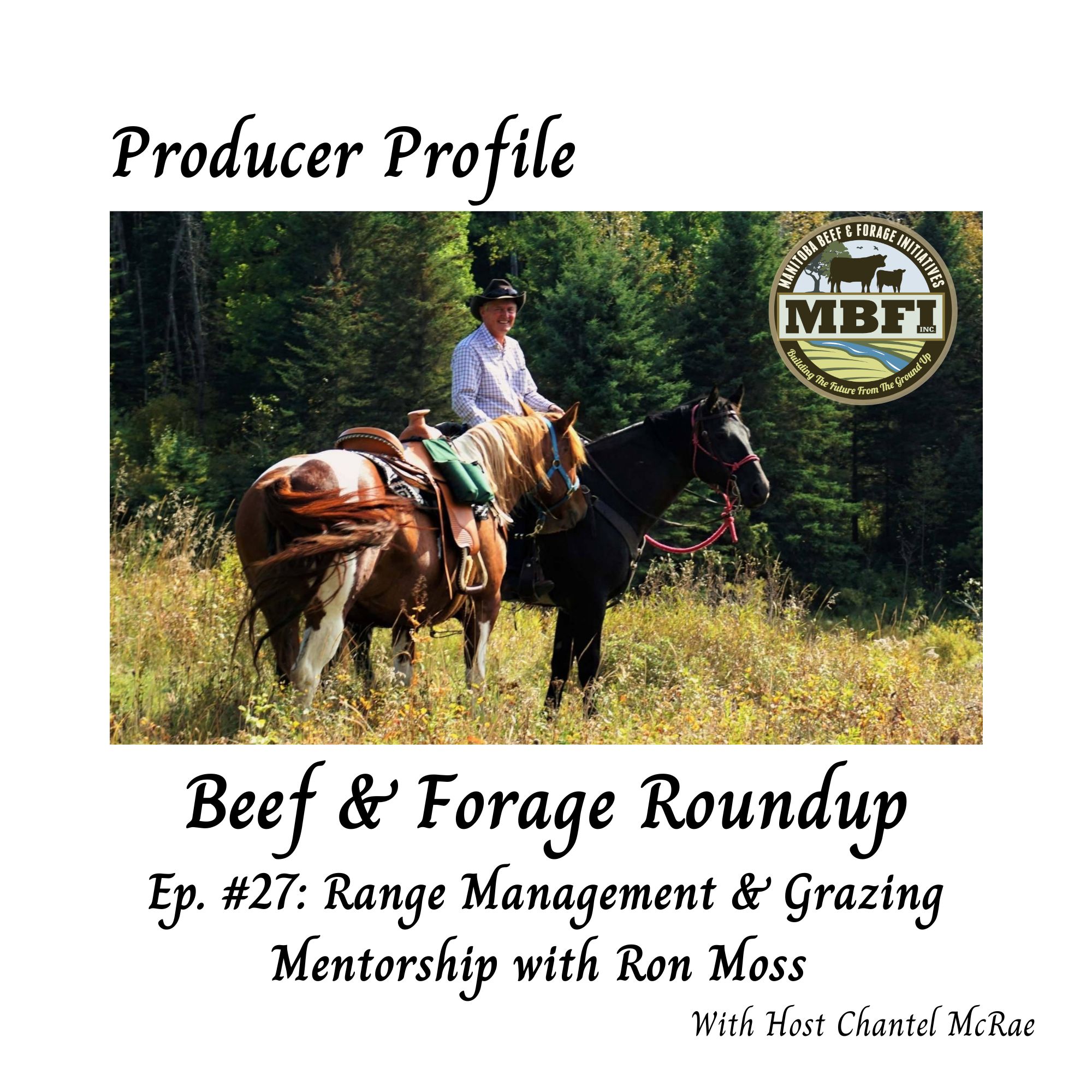 Beef and Forage Roundup