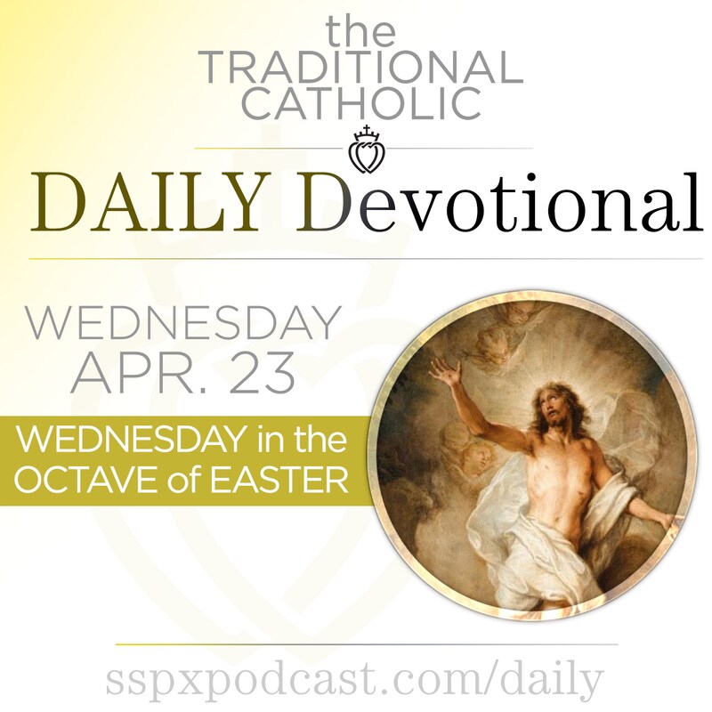 Artwork for podcast Traditional Catholic Daily Devotional