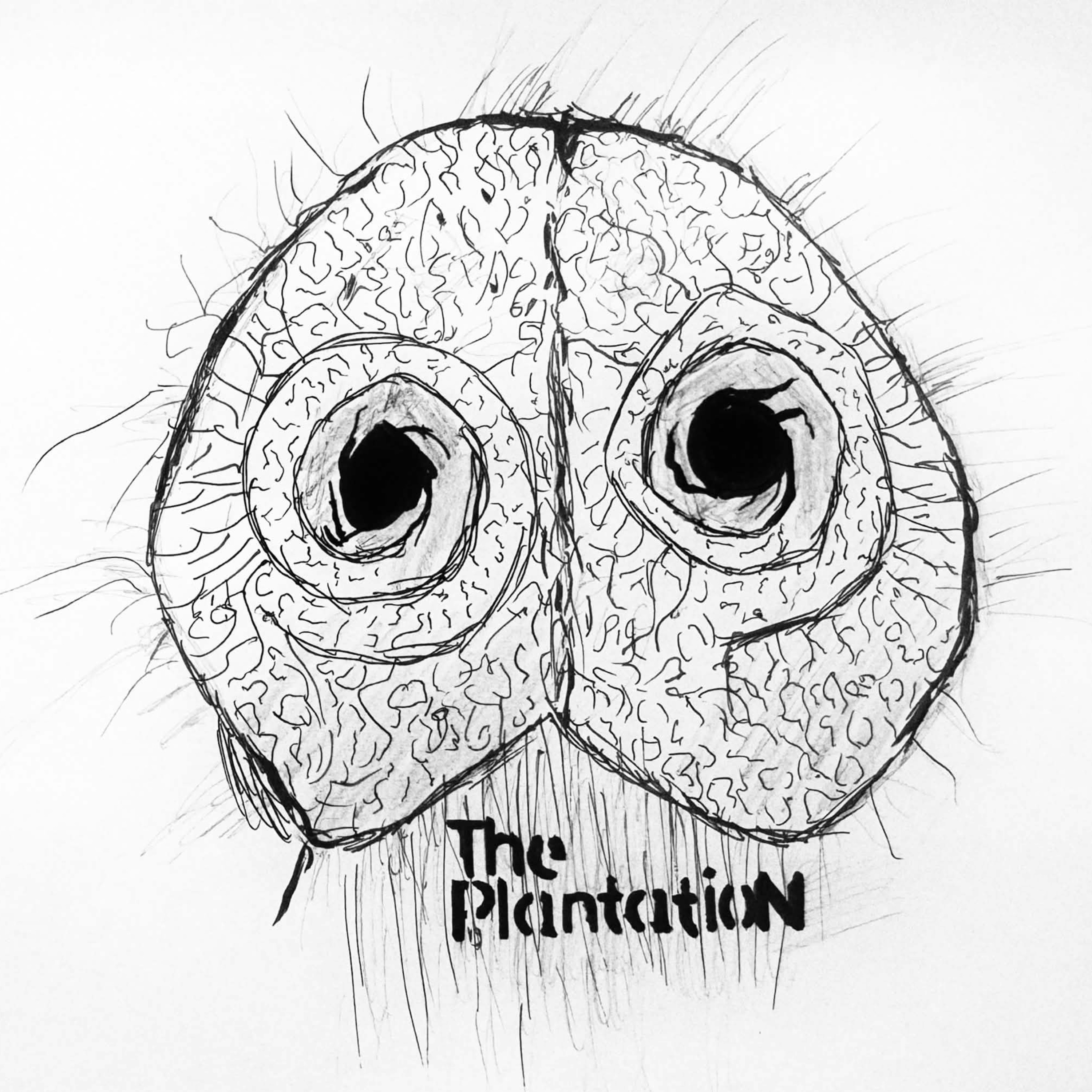 The Plantation - A Trophy Dark Podcast episode artwork