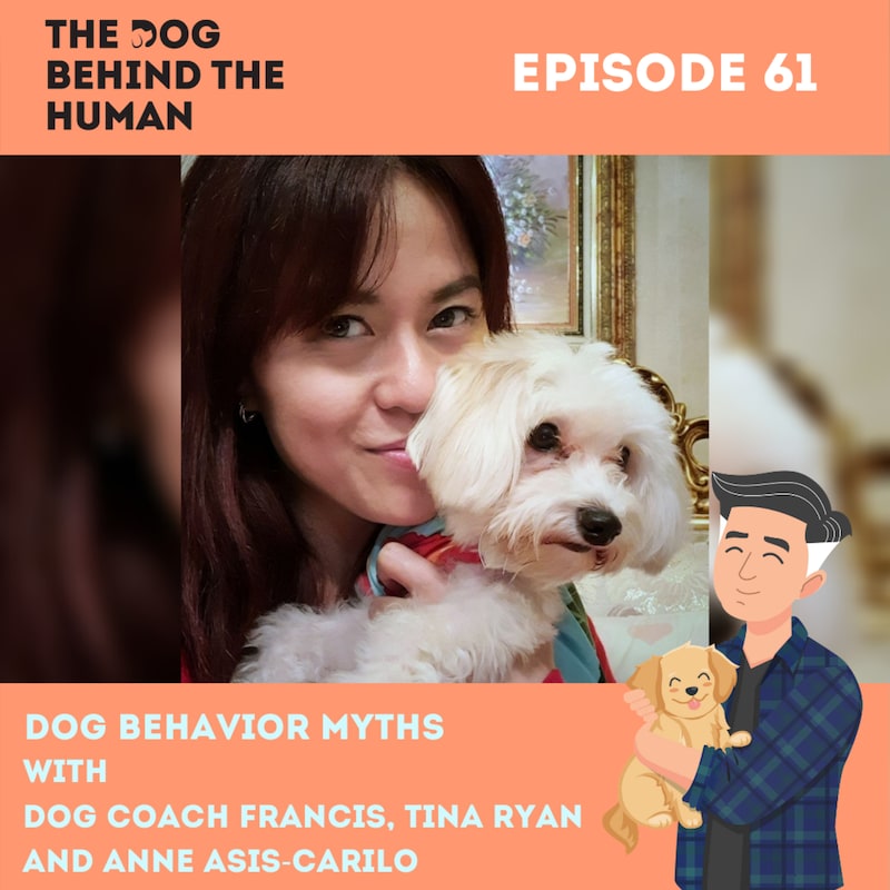 Artwork for podcast The Dog Behind The Human