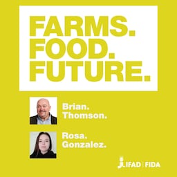 Artwork for What's on this episode?