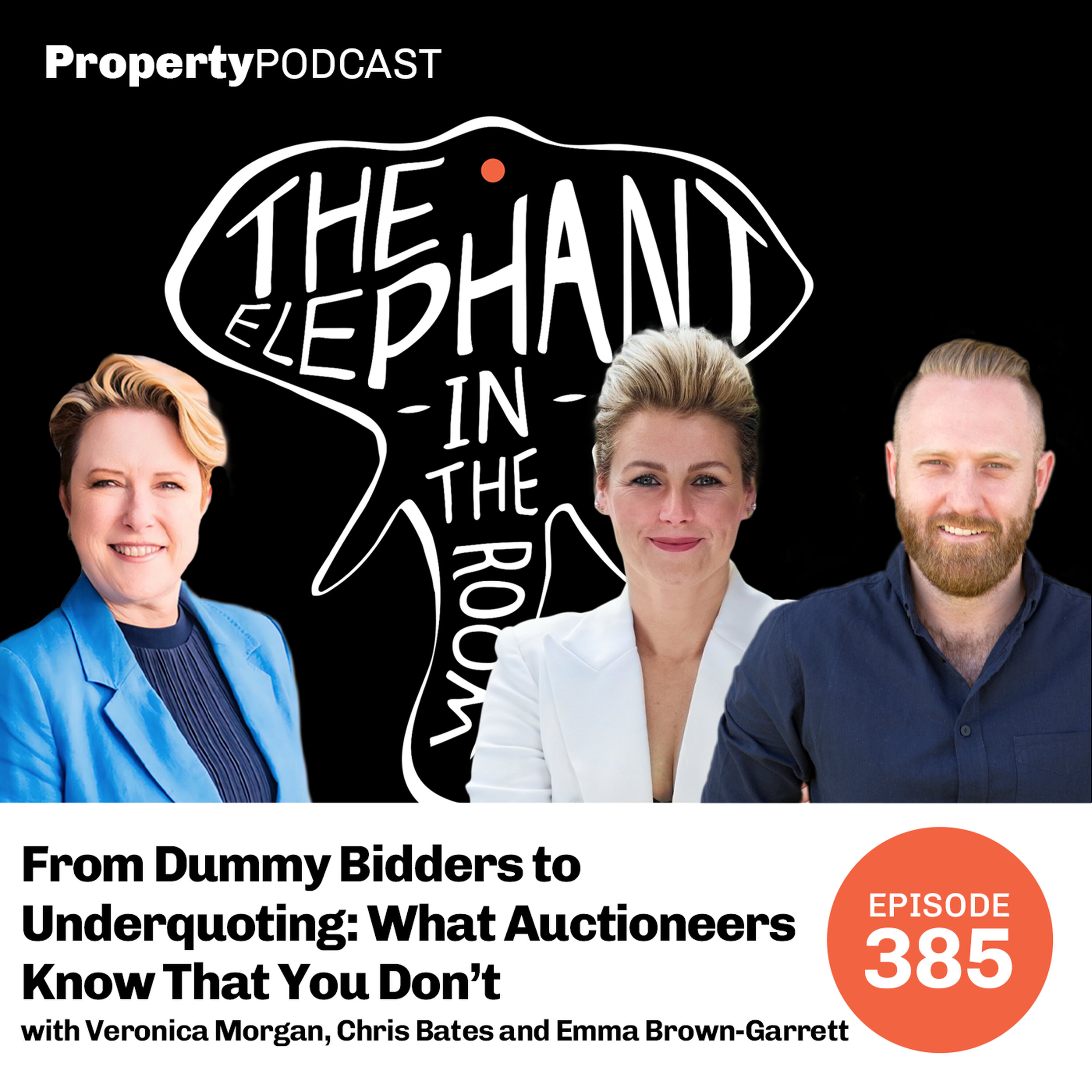 From Dummy Bidders to Underquoting: What Auctioneers Know That You Don’t