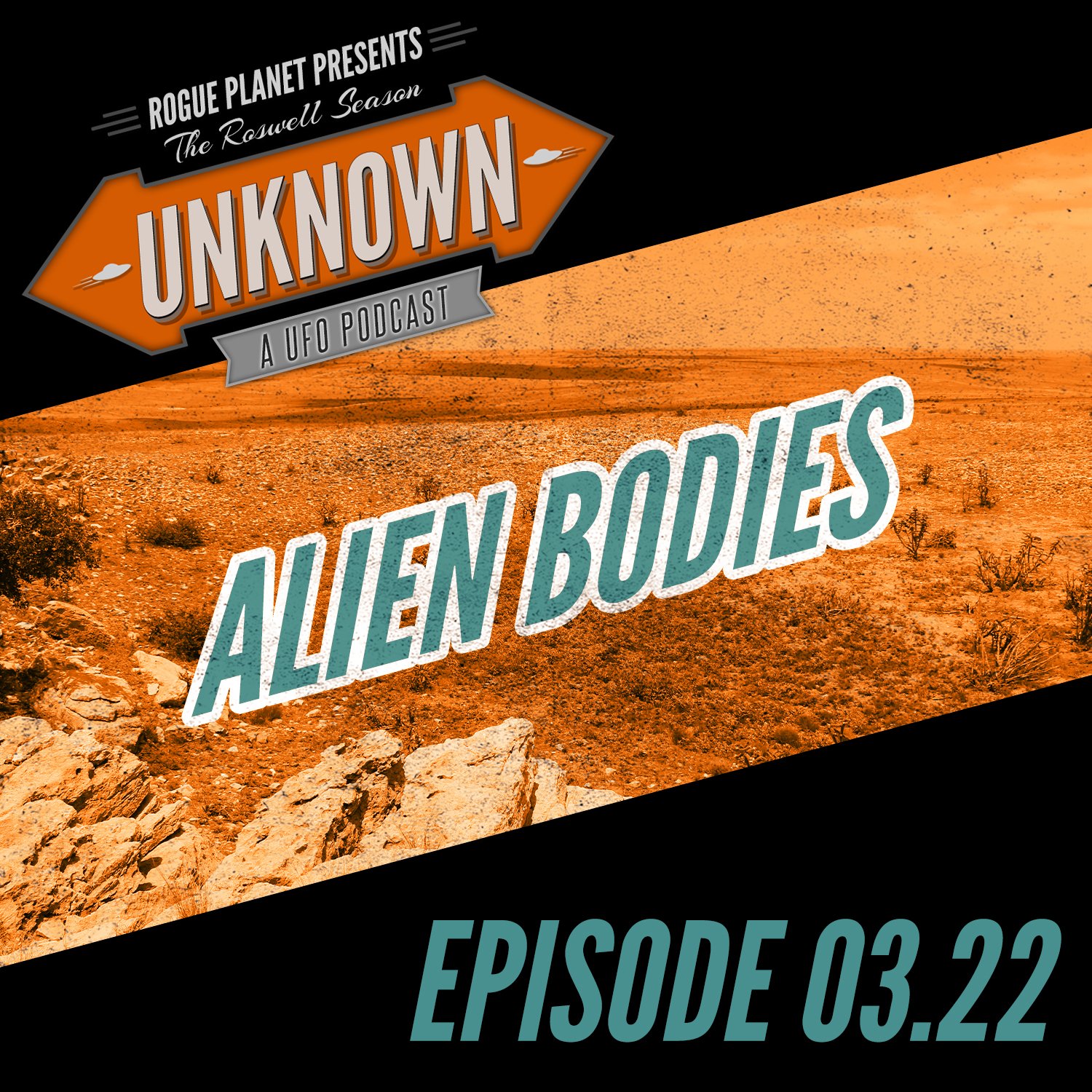 Artwork for podcast UNKNOWN — a UFO podcast