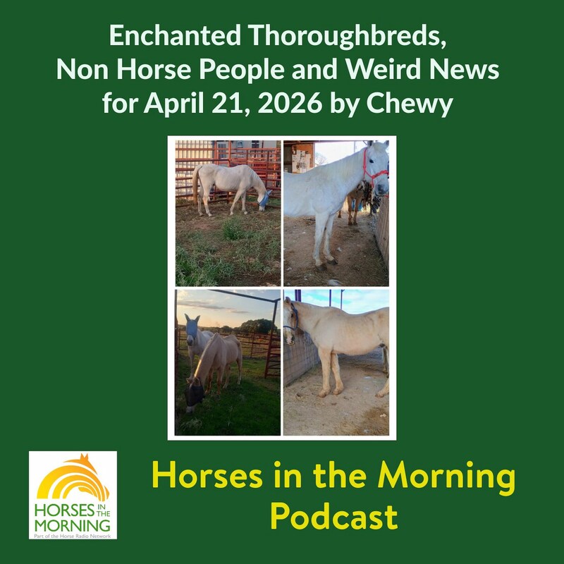 Artwork for podcast Horses in the Morning