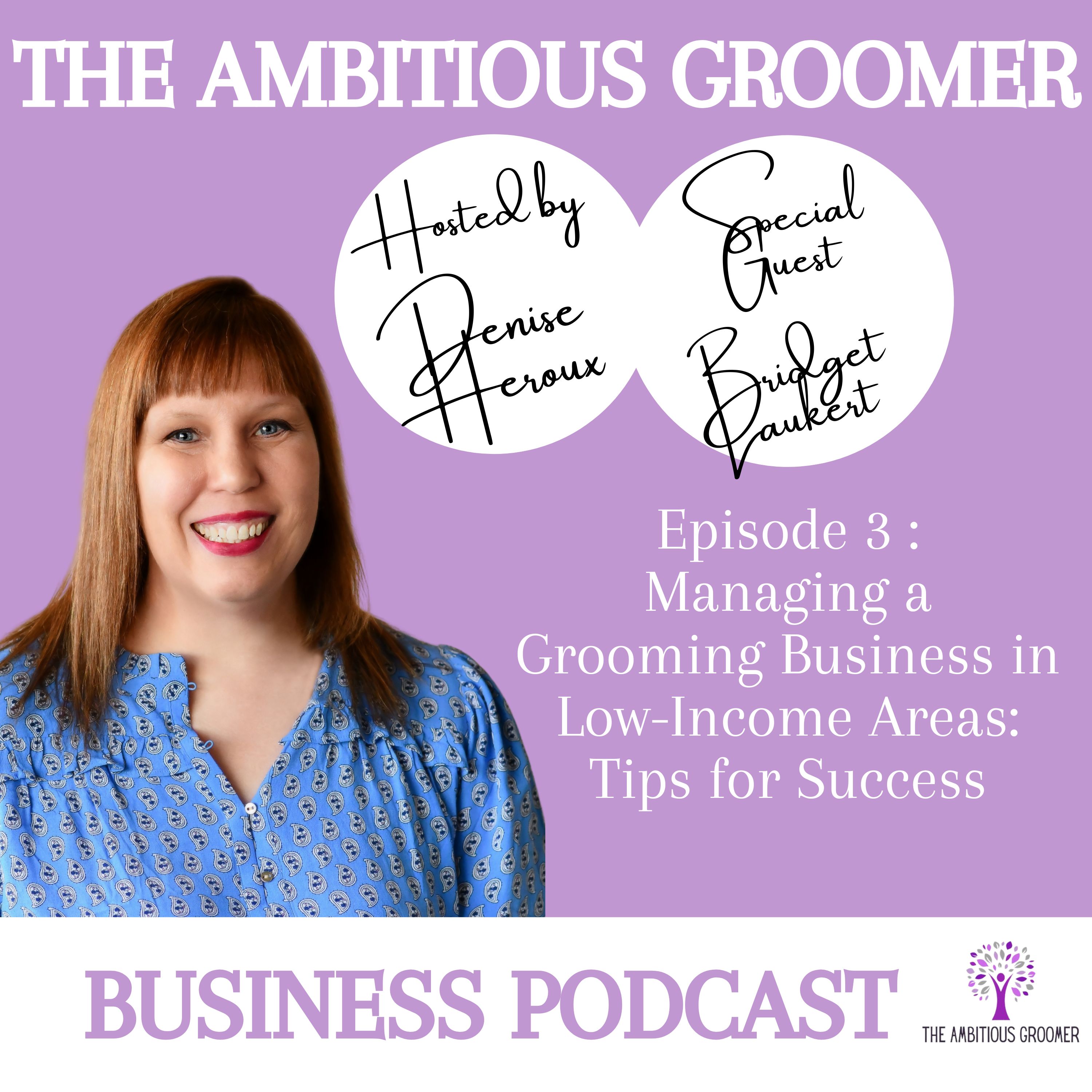 The Ambitious Groomer Business Podcast