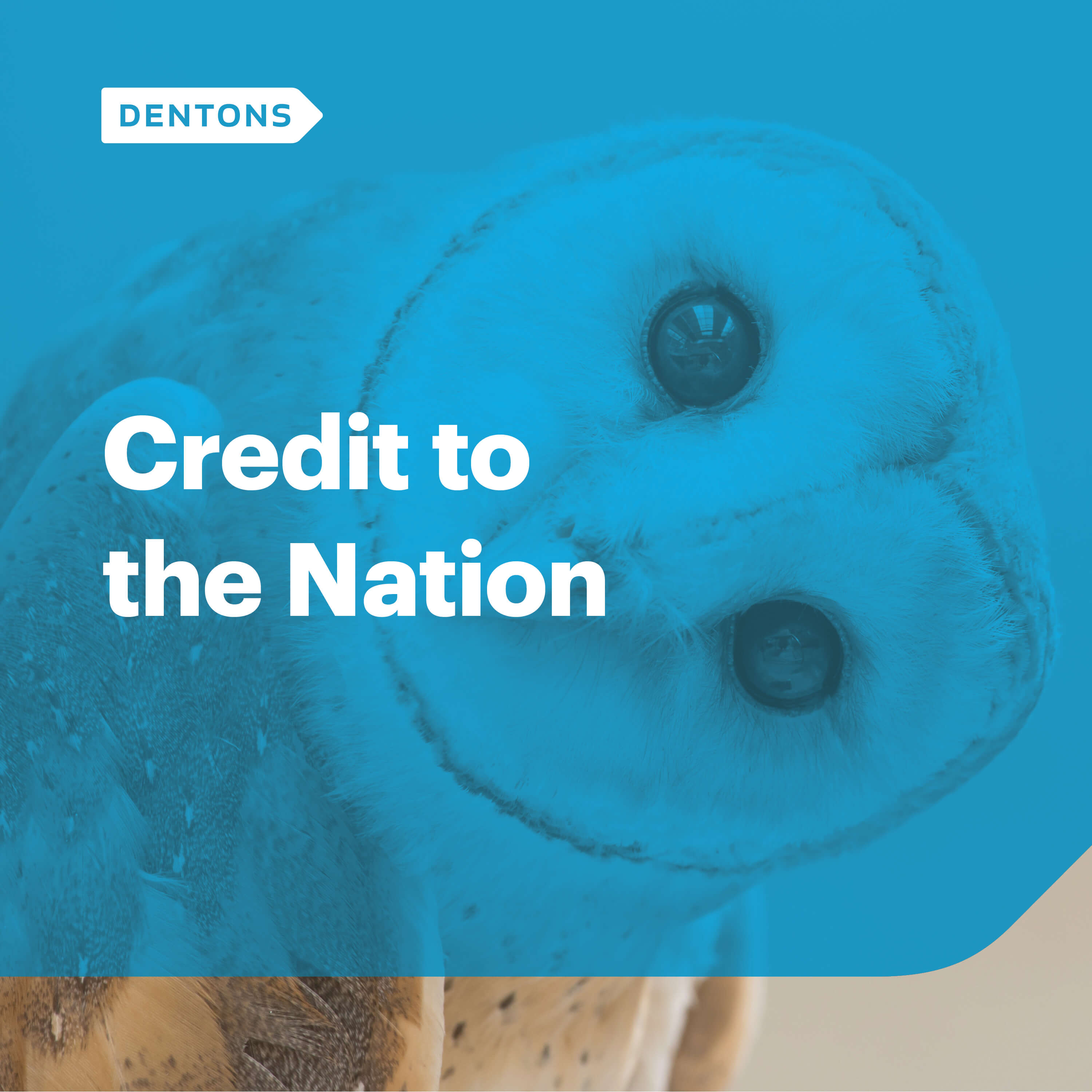 Artwork for Credit to the Nation