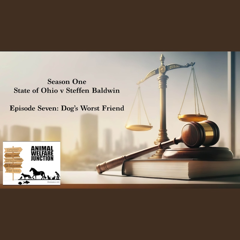 Artwork for podcast The Animal Welfare Junction
