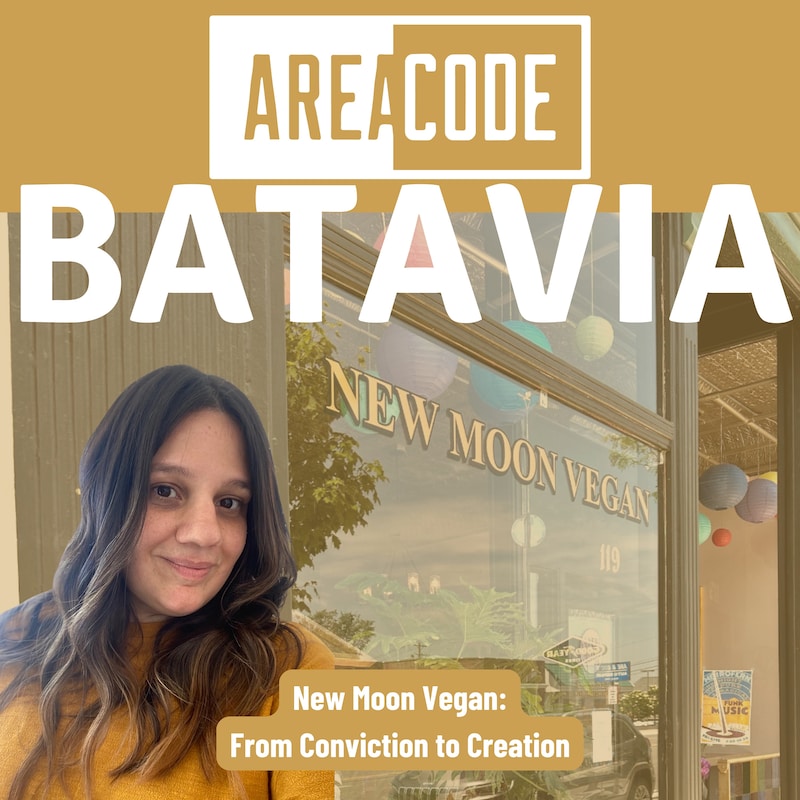 Artwork for podcast Area Code: Batavia