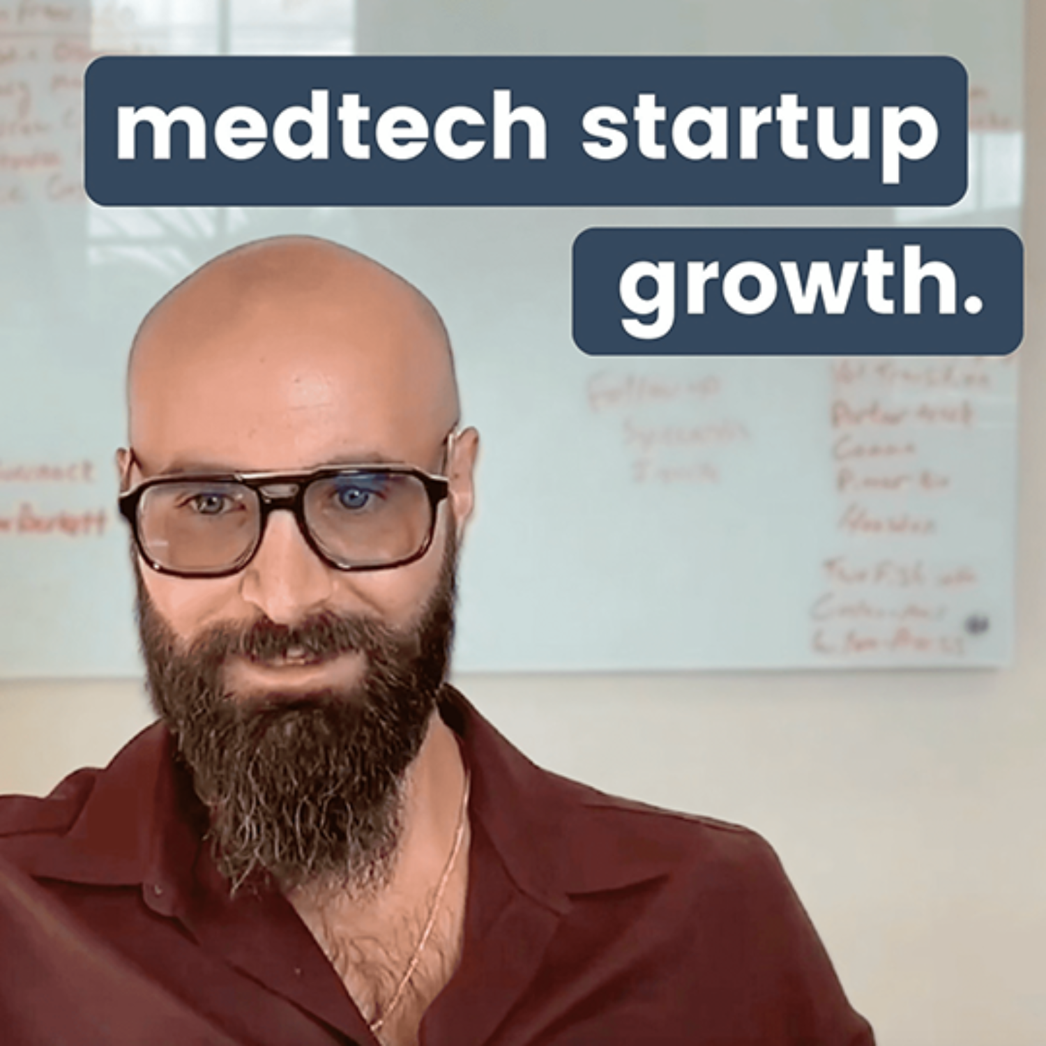 381 - Raising Capital and Building Teams for MedTech Startups.  Giovanni Lauricella, Lifeblood Capital