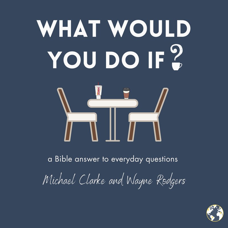 Artwork for podcast What Would You Do If?