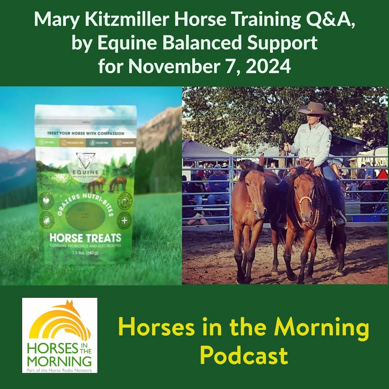 Artwork for podcast Horses in the Morning