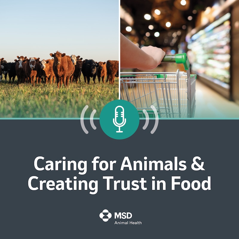 Artwork for podcast Caring for Animals & Creating Trust in Food