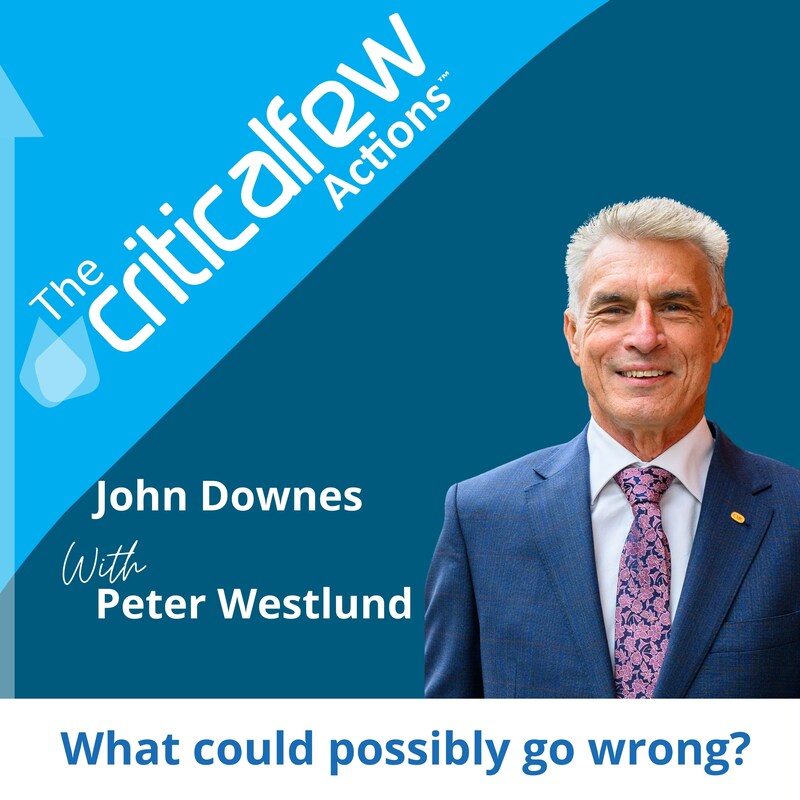 Artwork for podcast The Critical Few Actions