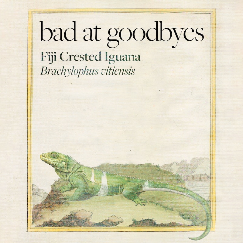 Artwork for podcast Bad at Goodbyes