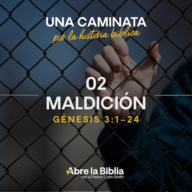 Artwork for podcast Una caminata por la historia bíblica