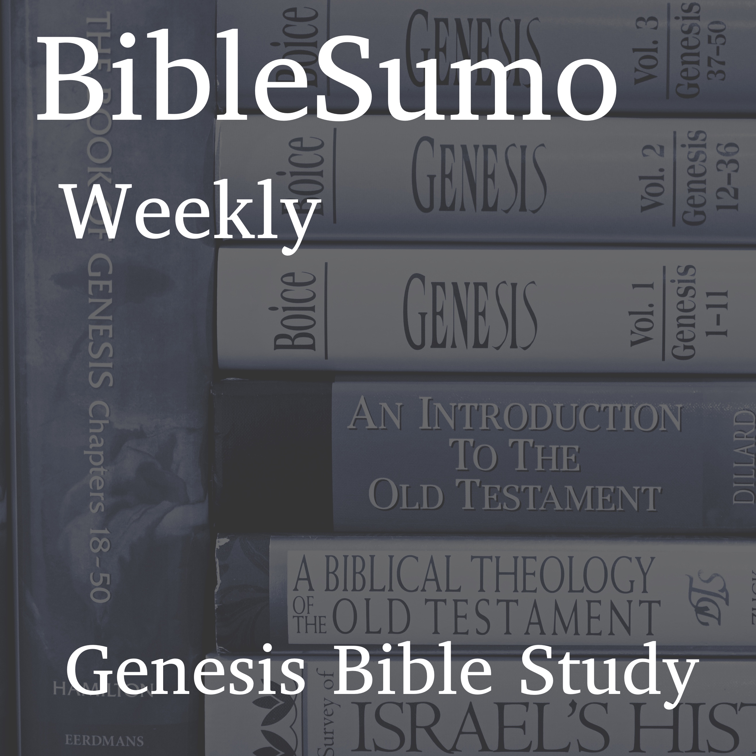 Artwork for podcast BibleSumo Weekly Bible Study
