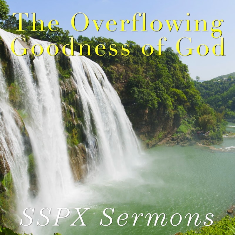 Artwork for podcast SSPX Sermons