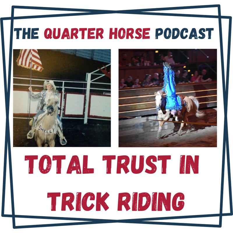 Artwork for podcast The Quarter Horse Podcast
