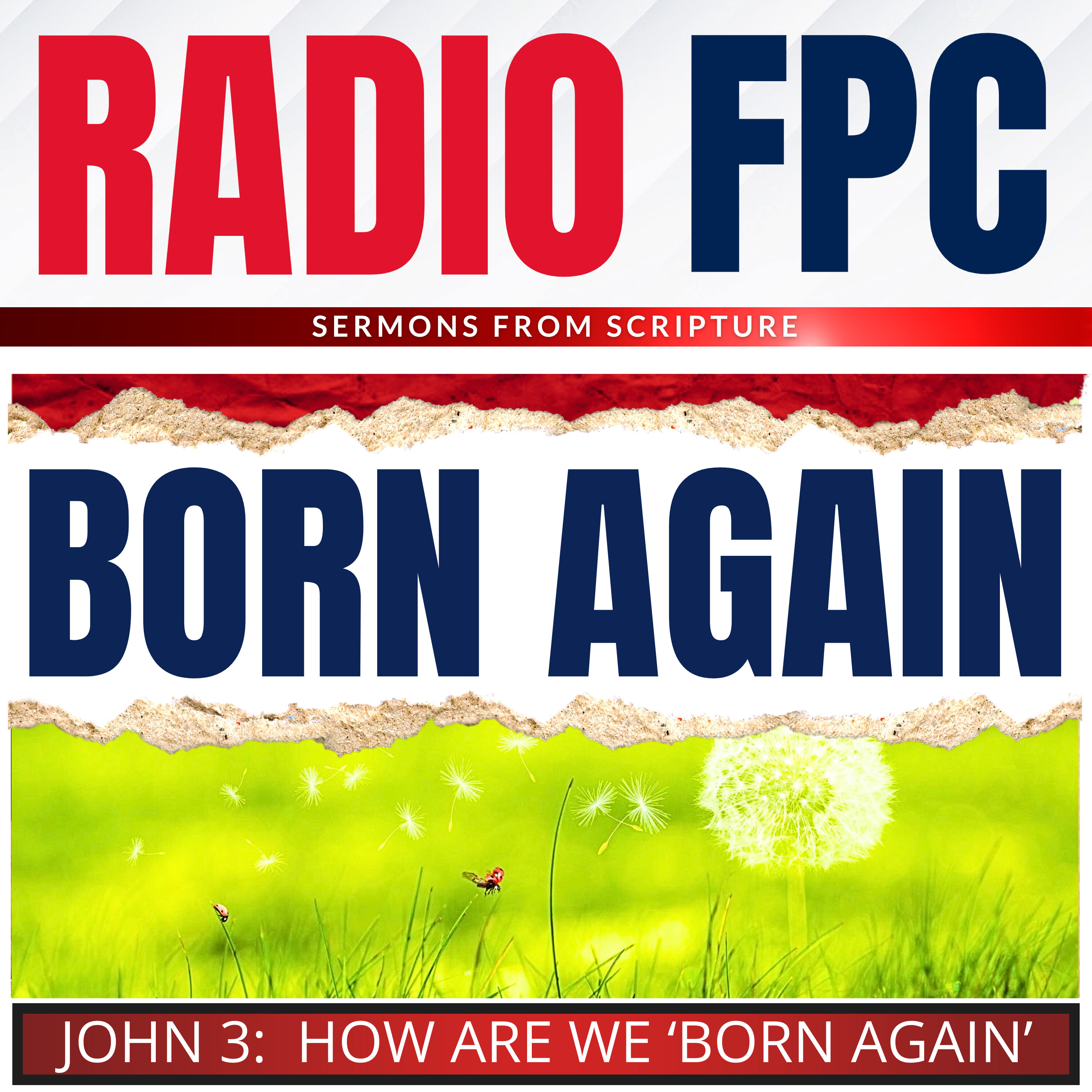 John: What It Means To Be Born Again