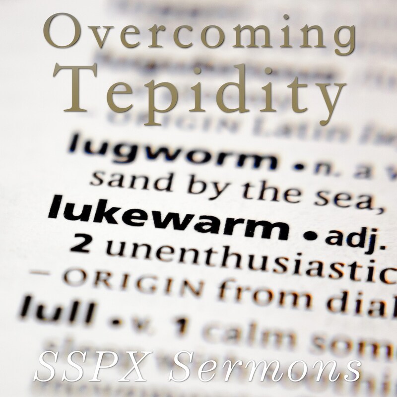 Artwork for podcast SSPX Sermons