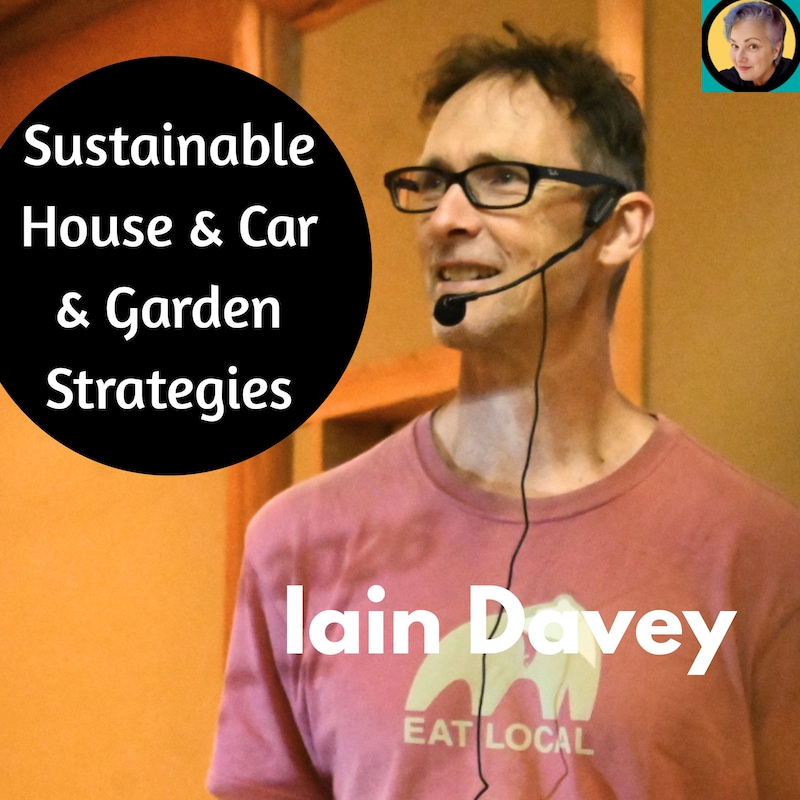 Artwork for podcast Sustainable Travel Japan