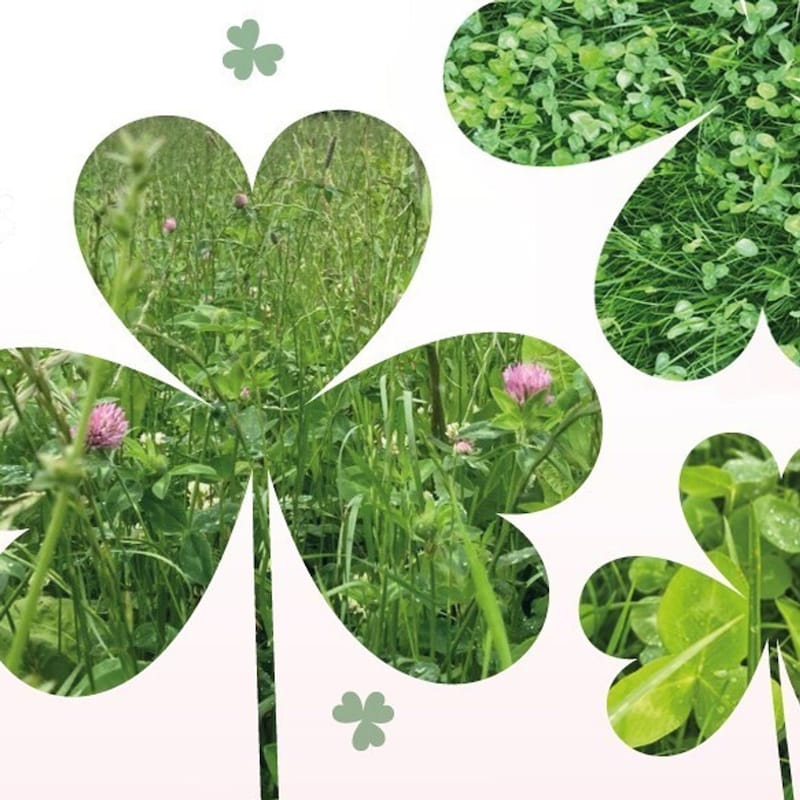 Artwork for podcast AHDB Food & Farming