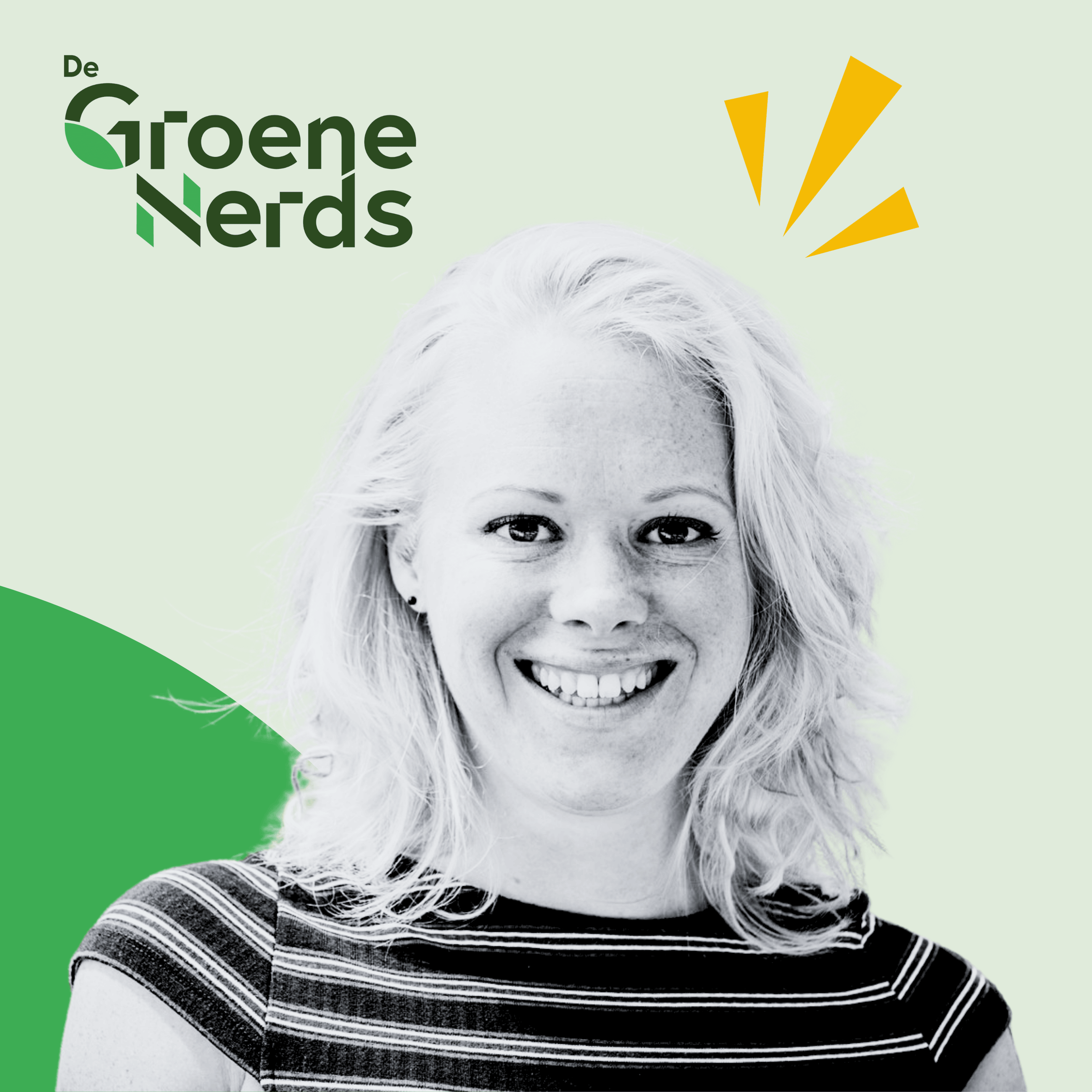 Einde van vast: tijdsafhankelijke nettarieven voor iedereen!