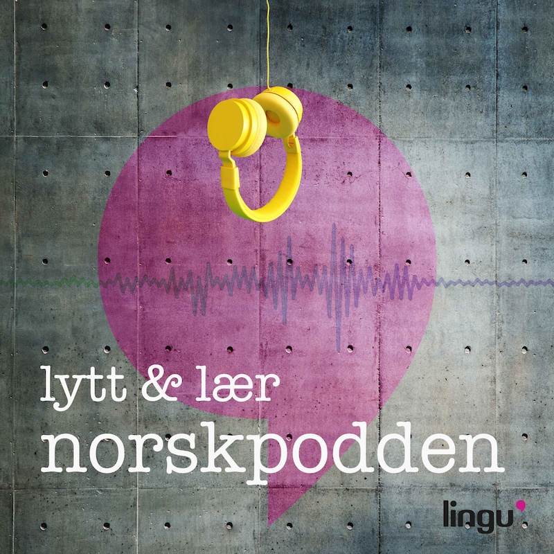 Artwork for podcast Norskpodden