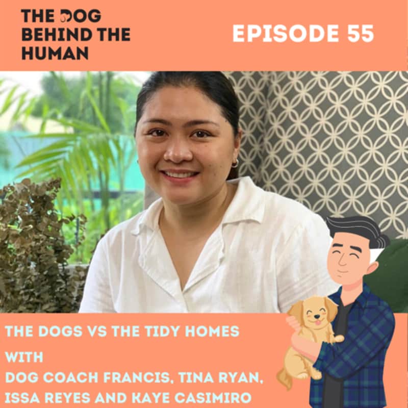 Artwork for podcast The Dog Behind The Human