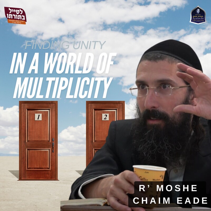 Artwork for podcast Kollel Toras Chaim All Shiurim