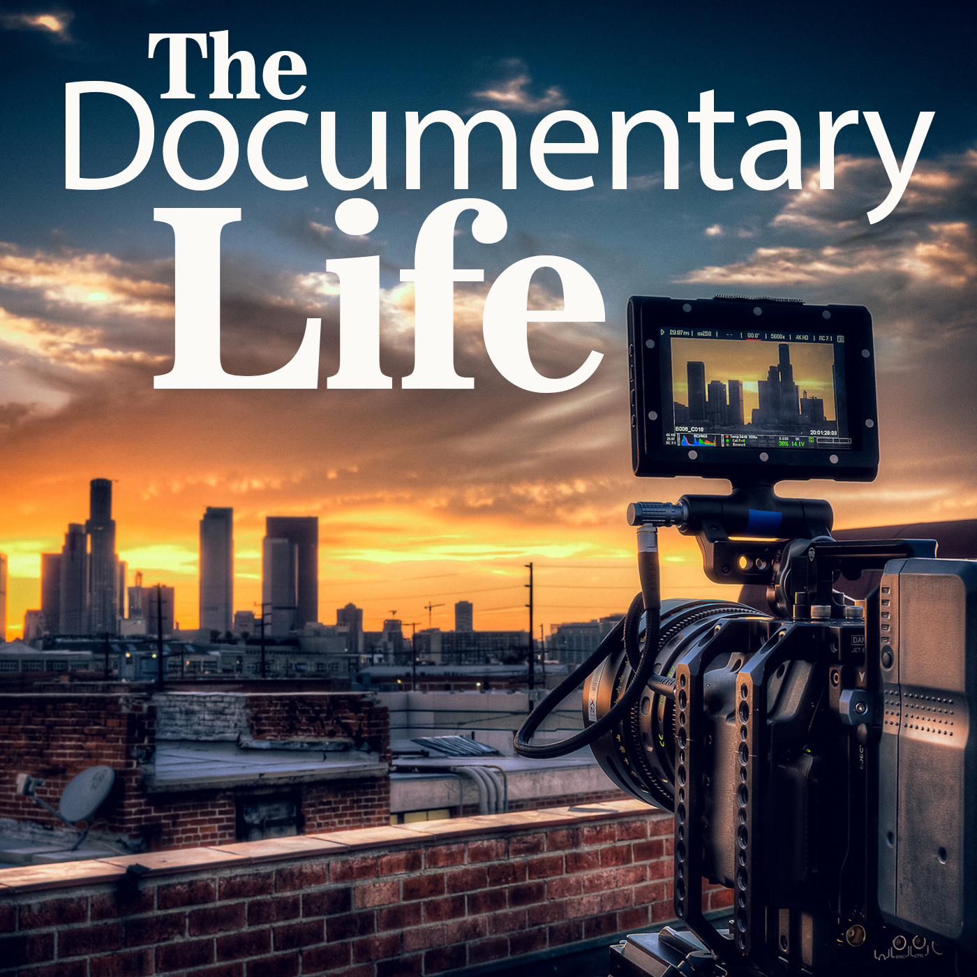 Show artwork for The Documentary Life