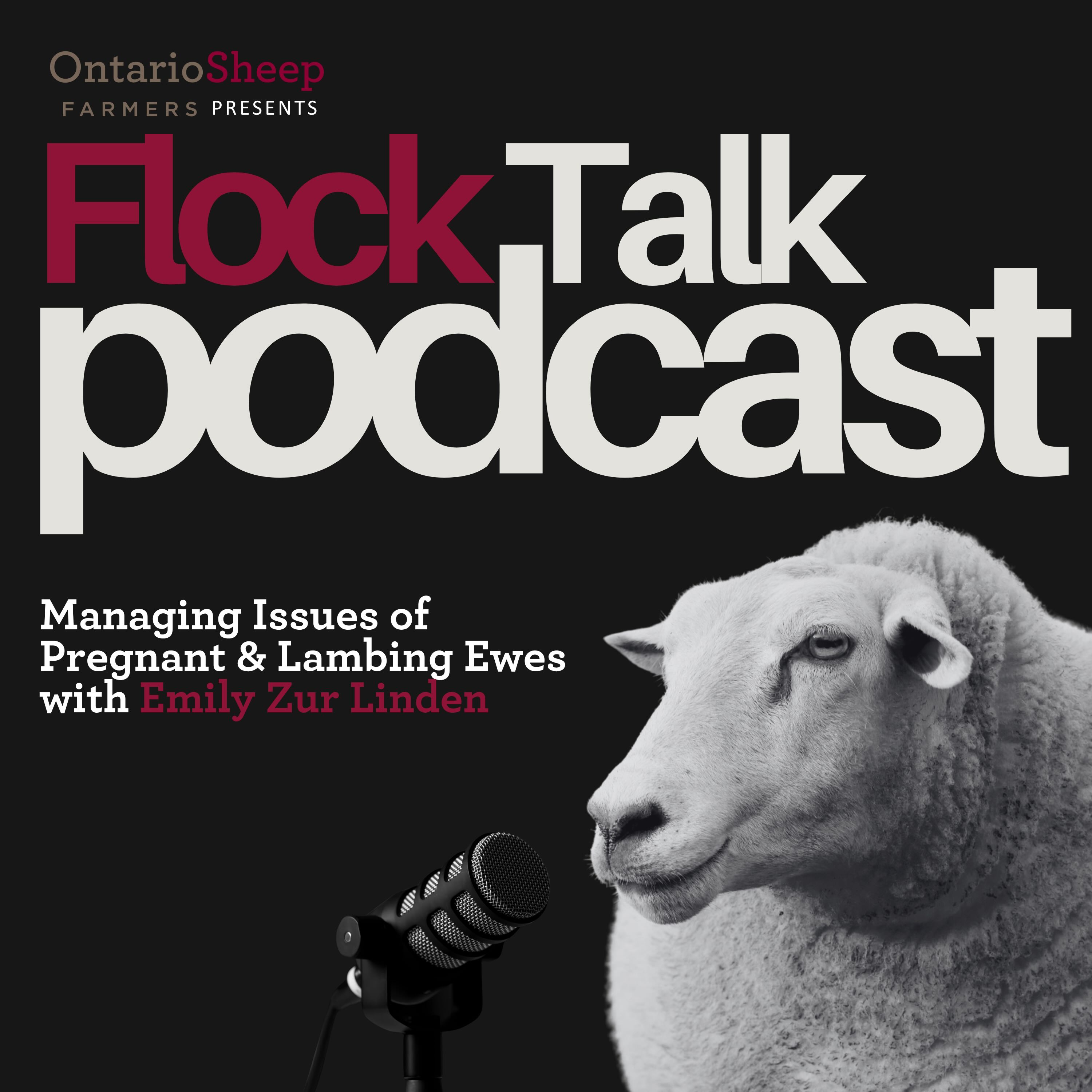 Managing Issues of Pregnant & Lambing Ewes with Emily Zur Linden