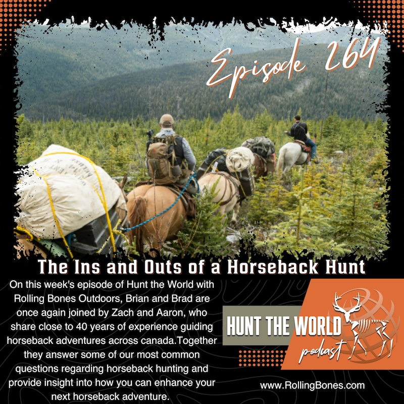 Artwork for podcast Hunt the World