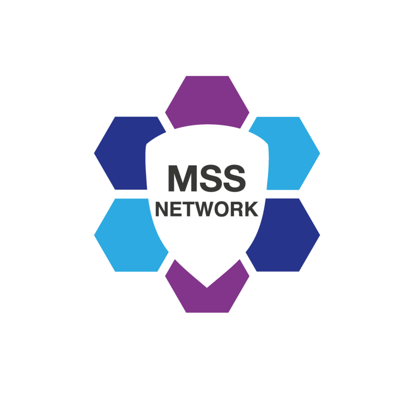 Artwork for podcast MSS Network