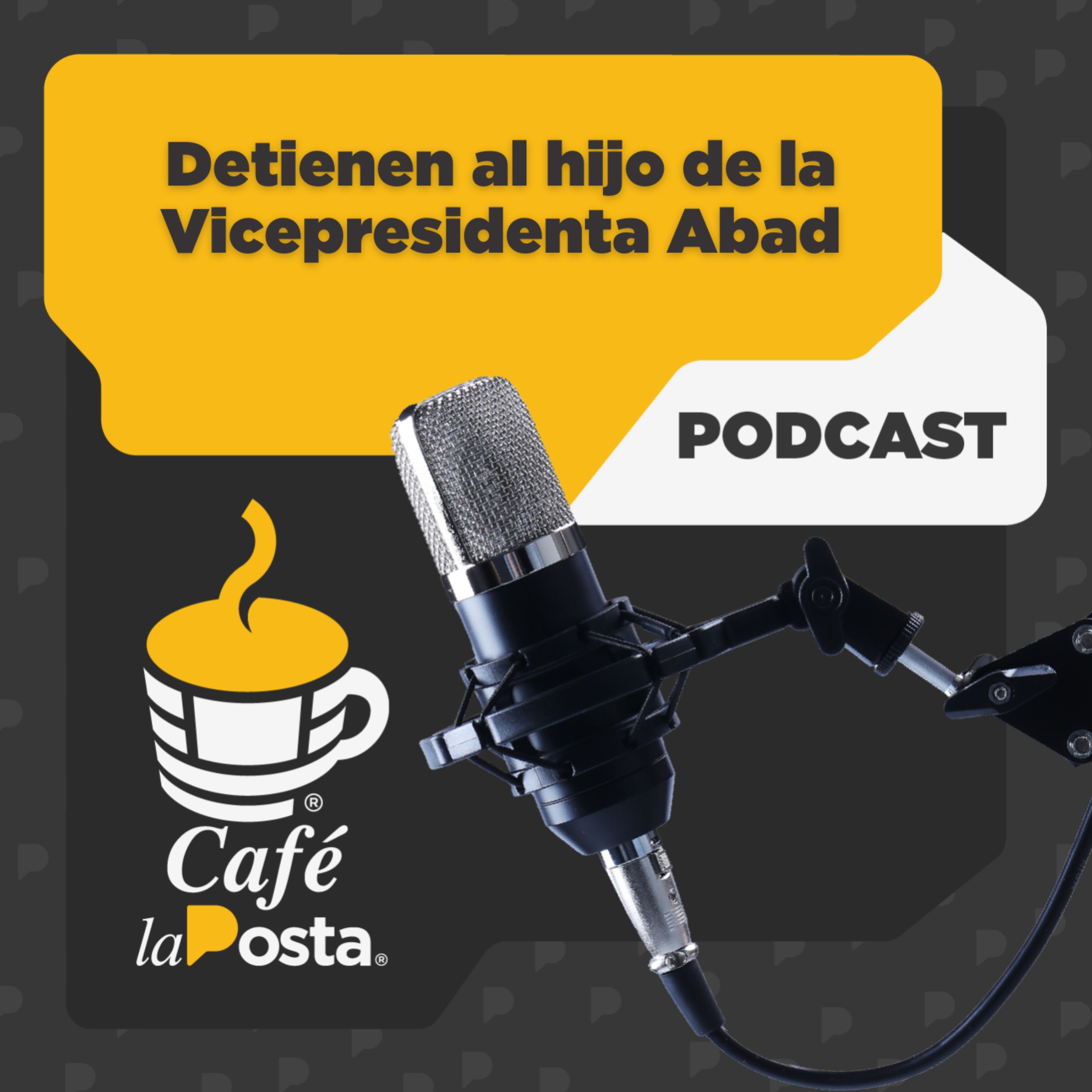 21/MAR: Detienen al hijo de la Vicepresidenta Abad