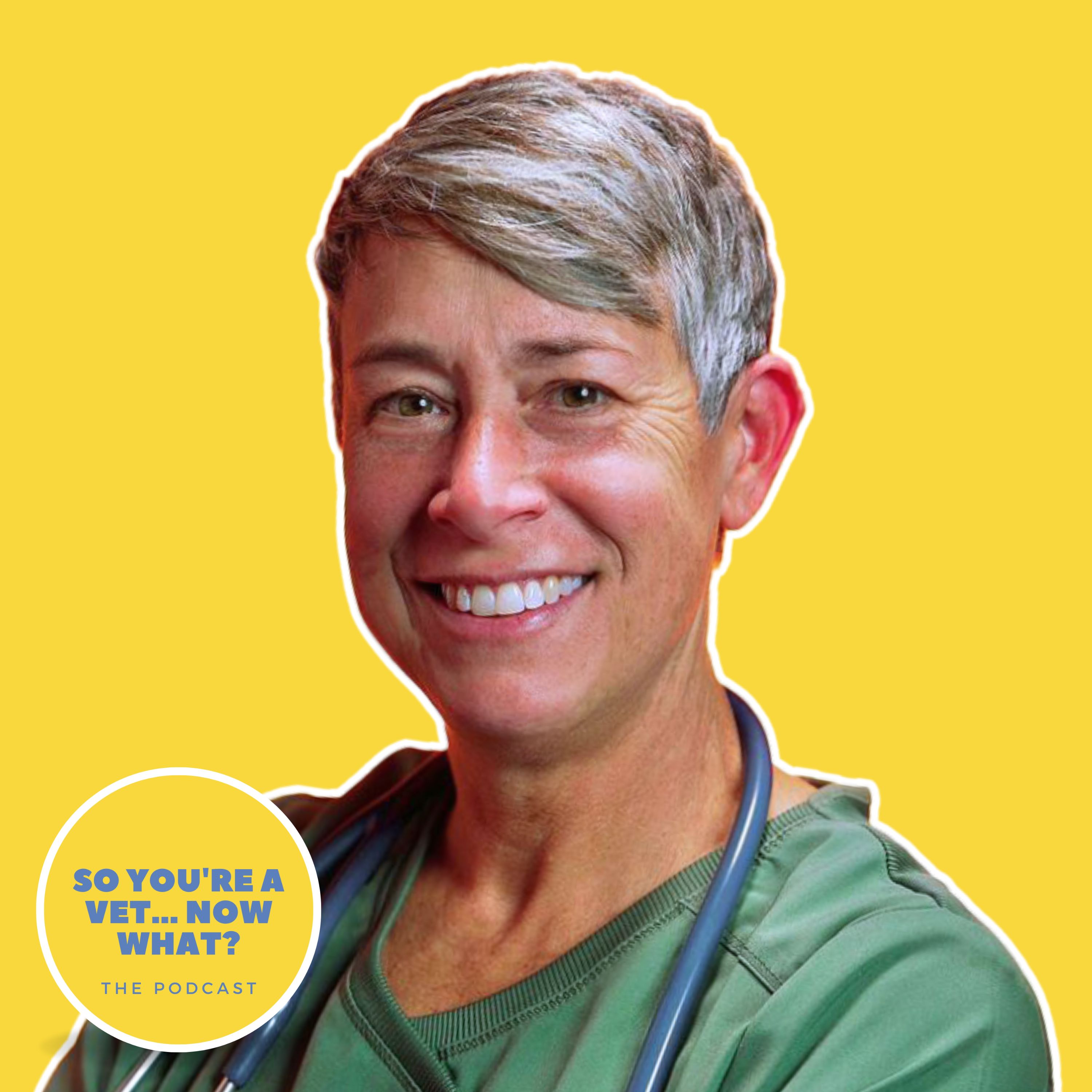 The \'So You\'re A Vet... Now What?\' Podcast