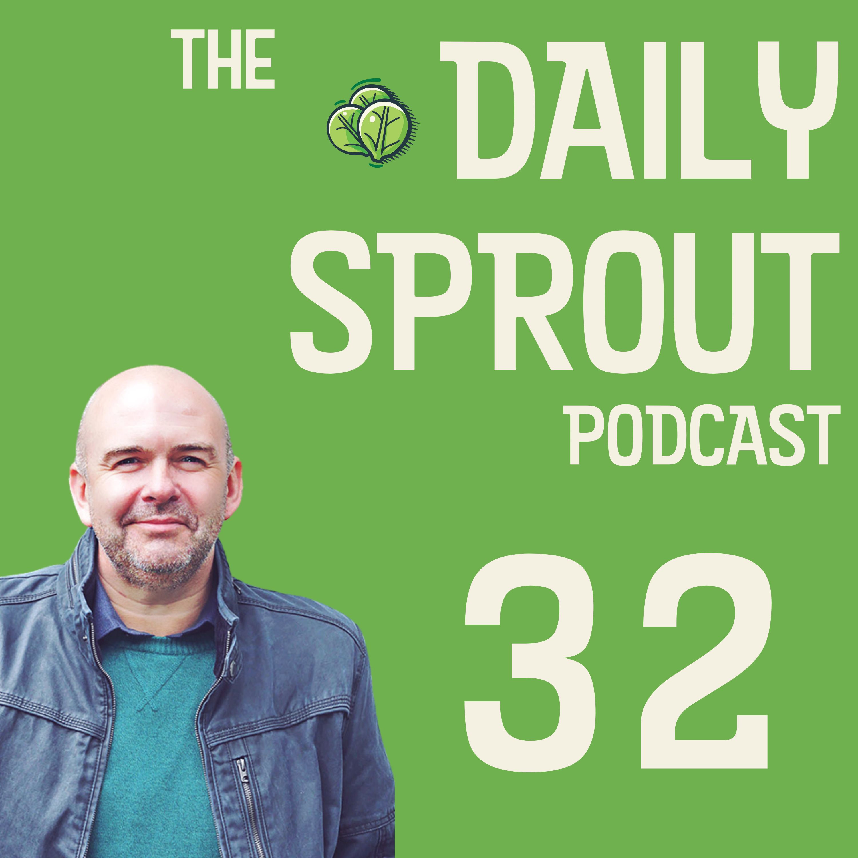 Not All Support Is Good Support: Daily Sprout 32 episode artwork