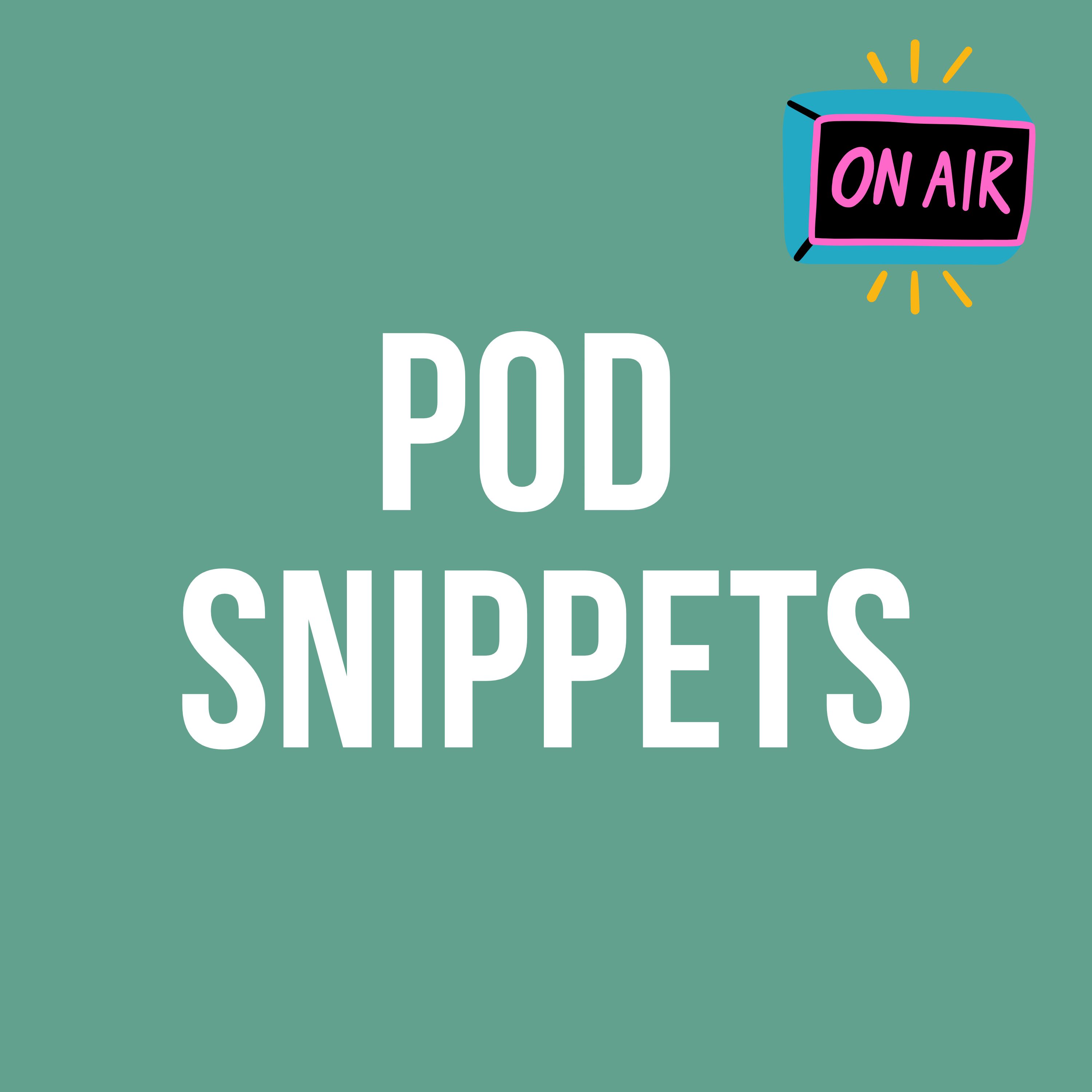 Pod Snippets