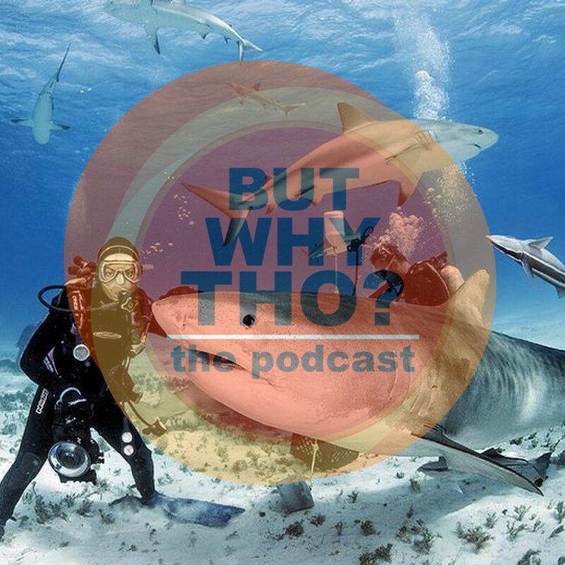Artwork for podcast But Why Tho?