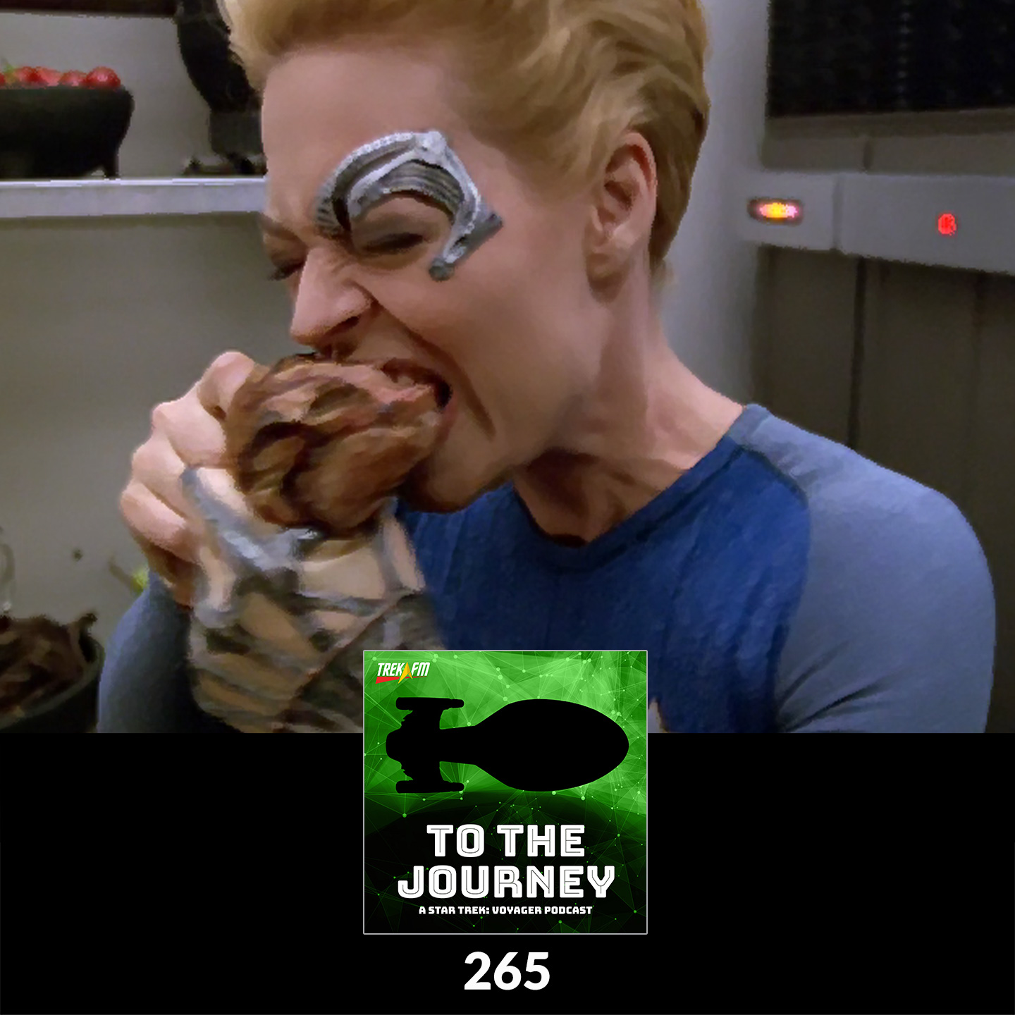 To The Journey: A Star Trek Voyager Podcast