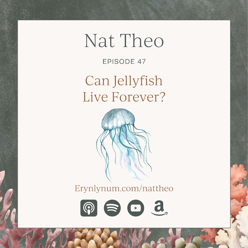 Artwork for podcast Nat Theo Nature Lessons Rooted in the Bible