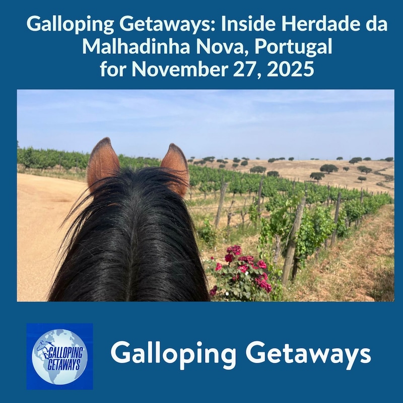 Artwork for podcast Horses in the Morning