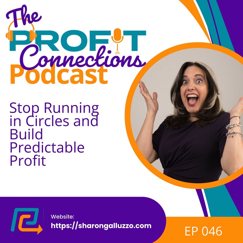 Artwork for podcast The Profit Connections Podcast