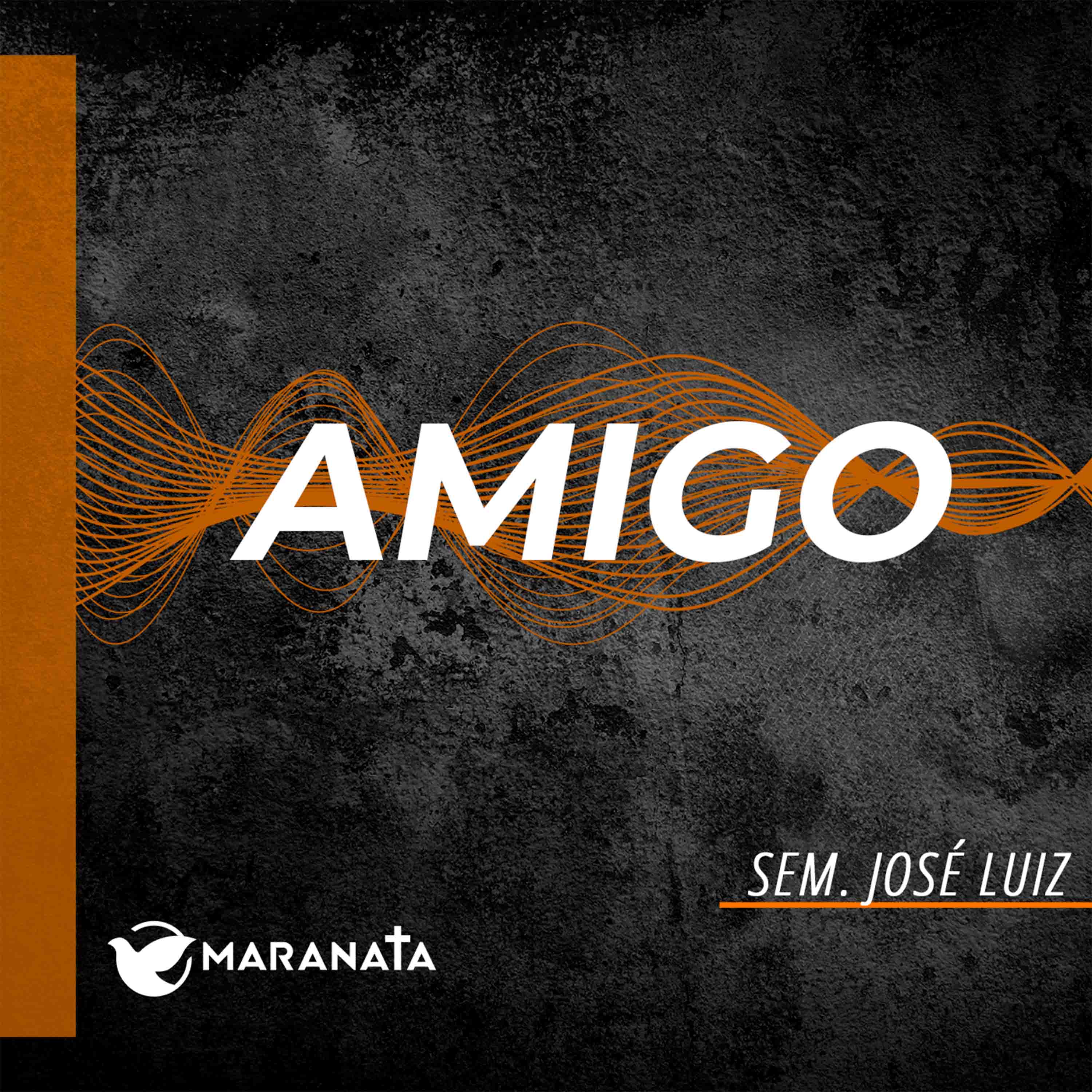 Amigo - Sem. José Luiz episode artwork